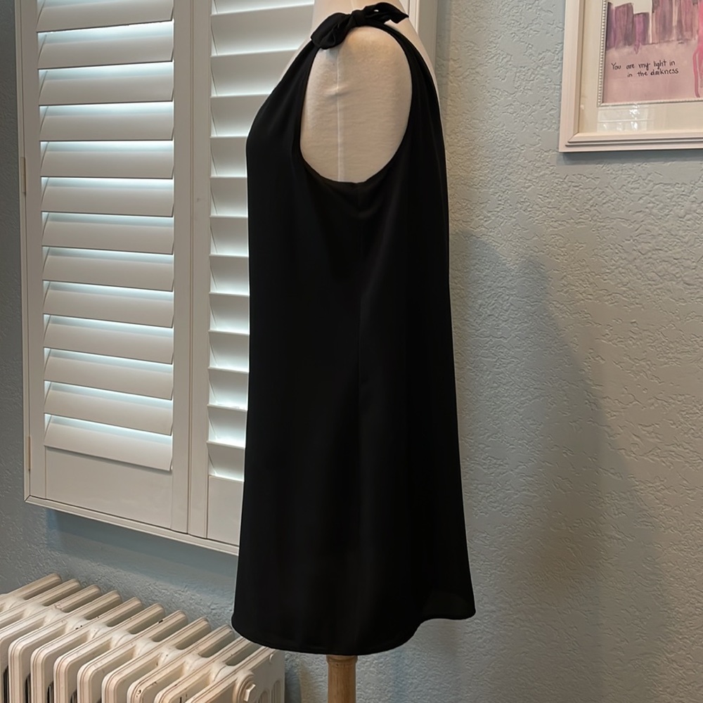 1. State V-neck shift dress with ties at shoulders. Lined. Size Medium - Picture 7 of 9